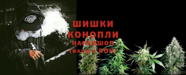 ГАЛЛЮЦИНОГЕННЫЕ ГРИБЫ Абаза