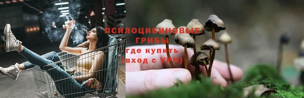 мяу мяу мука Абинск