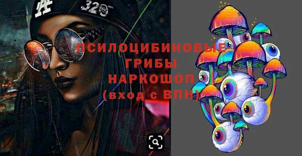 ГАЛЛЮЦИНОГЕННЫЕ ГРИБЫ Абаза