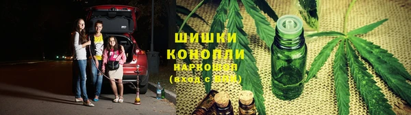 ГАЛЛЮЦИНОГЕННЫЕ ГРИБЫ Абаза