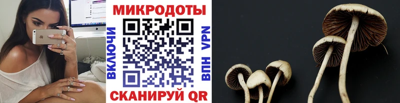 Галлюциногенные грибы Cubensis  Ангарск 